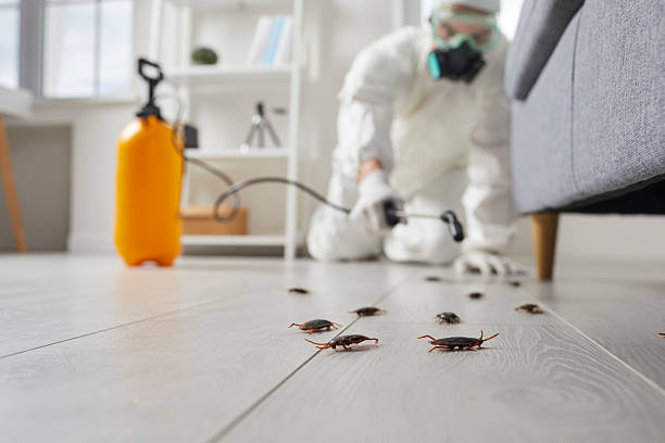 Commercial Kitchen Cockroach Control in Jekyll Island